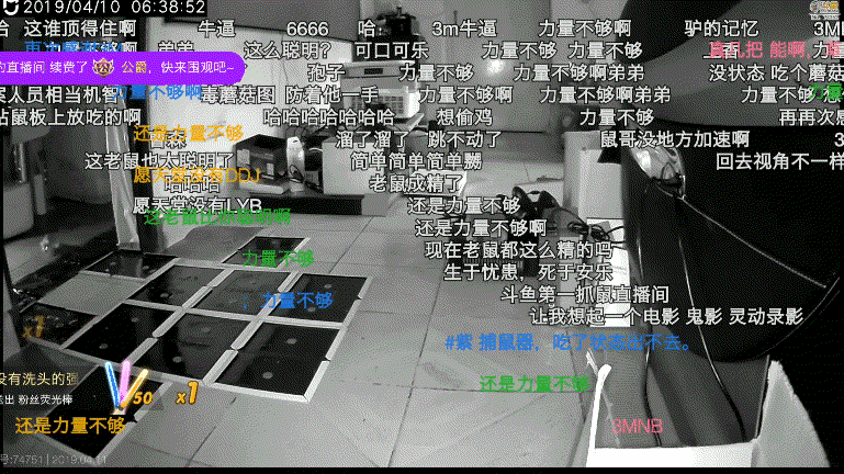 超级小桀与鼠哥的终局一战